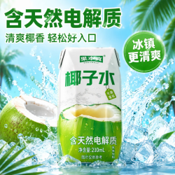 果本真 椰子水电解质饮料整箱植物电解质风味饮料果汁火锅必备 椰子水210ml*6瓶