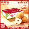 京鲜生 长城羊脂秋月梨 净重4.5斤装 大果5-7粒 单果300g+