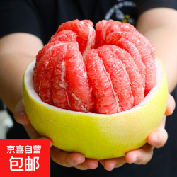 柚子 正宗福建平和红心蜜柚三红蜜柚琯溪当季新鲜整箱包邮 净重（4-4.5斤）2个装