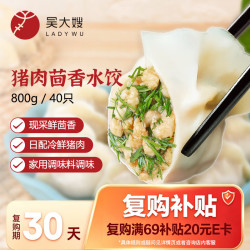 吴大嫂 一只生态饺 猪肉茴香馅 800g