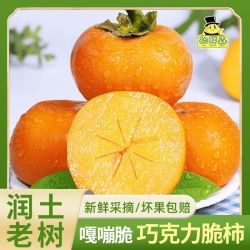 胡鲜森 彩箱 陕西巧克力脆柿阳丰脆柿子新鲜水果应季3斤起