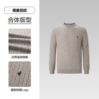 海澜之家 HNZAW3F066A 纯羊毛 燕麦花纹 M 针织衫