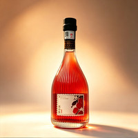 佳小乐新品杨梅酒20.5度 自饮送礼 休闲低度酒 20.5度佳小乐杨梅酒500ml