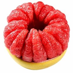 产地直发 福建平和 三红柚 三红蜜柚 4.5斤装 1-2个
