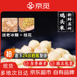 京觅 新鲜芡实鸡头米 净重4斤 苏州特产 苏式甜品 中秋礼品 源头直发