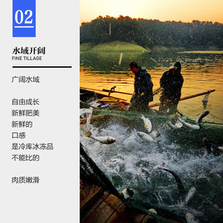 禾人 东北三道鳞鱼 净膛 生鲜水产