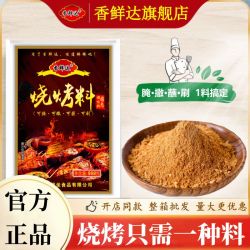 香鲜达 烧烤料烧烤撒料腌料烤肉蘸料商用家用烧烤粉五香孜然烤串料