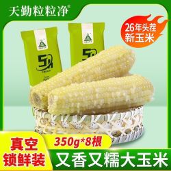 天勤粒粒净 甜糯玉米350克糯玉米大棒代餐26年低脂早餐粗粮玉米