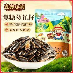 森林小将 新货多味瓜子葵花子熟颗粒批发炒货零食多味净重发货