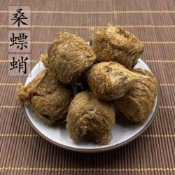 熟桑螵蛸 螳螂子刀螂子棉桑螵蛸精选优质送枸杞