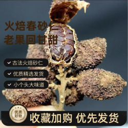春 砂仁 可煲汤 可煲水