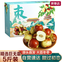 京地达 陕西大荔冬枣 5斤果王 单果23g+ 新鲜水果 源头直发 5斤甄选果王