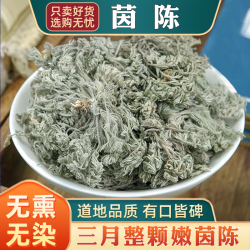 新货茵陈绵茵陈三月茵陈草茵陈茶白篙汤整棵无硫棉茵陈干茵陈50g