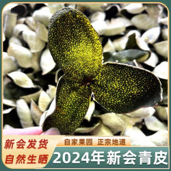 新会陈皮 新会直发