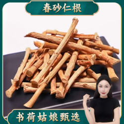 书荷姑娘阳春优质春砂仁根250g/500g 特产广东农户自产生晒沙仁茶