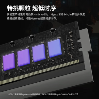 宏碁掠夺者 DDR5 6000MHz 48GB(24G*2) C38 冰刃黑 台式机内存