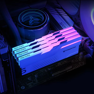 宏碁掠夺者 DDR5 6000MHz 48GB(24G*2) C38 冰刃黑 台式机内存