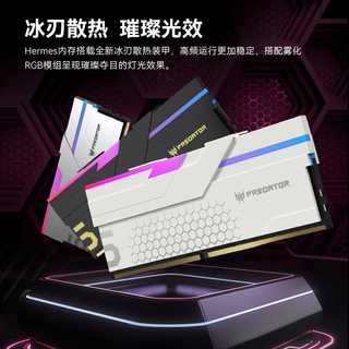 宏碁掠夺者 DDR5 6000MHz 48GB(24G*2) C38 冰刃黑 台式机内存