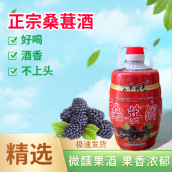 公举时光 桑葚酒4斤装2桶果酒微醺露酒精选桑葚果酒桑酒果味桑椹酒果味酒