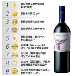 蒙特斯 智利三剑客紫天使红葡萄酒原瓶进口750ML