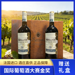 法国原瓶进口干红葡萄酒两只皮箱礼盒装750ml*2瓶