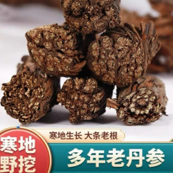 精选岷县寒地丹参250克/500克包邮煲汤泡水可配黄芪