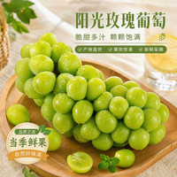 城南堡花 阳光玫瑰葡萄 大果2.5斤装