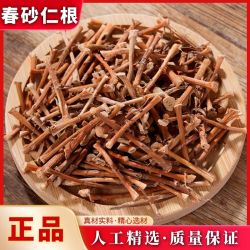 正宗阳春砂仁根自然晒干新货春砂仁根煲汤散装50g-1000g另有砂仁