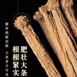 正宗岷县党参条新货党参手工精选原产地直发