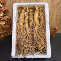 开航 原产地吉林长白山 新鲜 人参 净含量250g/盒（半斤5-6支）