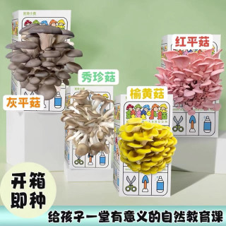 蘑菇种植菌包儿童蘑菇玩具科学小实验平菇观察日记