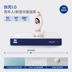 MLILY 快充2.0护脊0压记忆棉床垫独立袋装弹簧家用席梦思厚垫