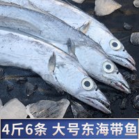 鲜起源 舟山雷达网大带鱼 特大整条 新鲜冷冻