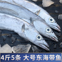 鲜起源 舟山雷达网大带鱼 特大整条 新鲜冷冻