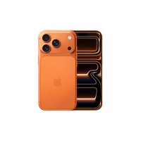 Apple 1年碎屏电池保 iPhone 17 Pro  橙色 256GB