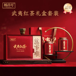 杨昌号 武夷山金骏眉正山小种武夷红茶套装组合礼盒装过年年货 武夷红茶套装（礼盒装300g）