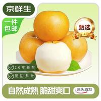 京鲜生 秋月梨 单果300g+ 8.5斤 生鲜水果