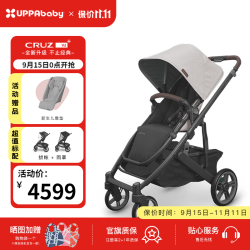 UPPAbaby CRUZ V2+婴儿车高景观婴儿推车双向 可坐可躺 易折叠 宝宝手推车 雪松灰ADA-新上市