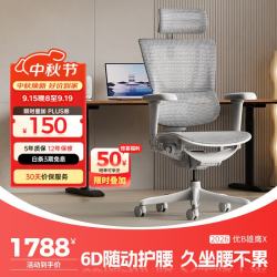 Ergonor 保友优b2/雄鹰 电脑椅人体工学椅家用 电竞椅办公椅子靠背老板椅 灰框-银白网-尼龙脚 精准承托 舒适久坐