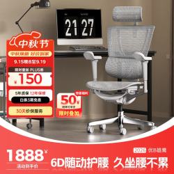 Ergonor 保友 优b雄鹰 人体工学电脑椅 银白网 可旋转可升降扶手