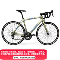 美利达 SHADOW幻影2 16速公路车 美银金 700C
