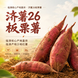 享农伯 漳河沙地济薯26板栗薯 板栗口感新鲜现挖产地直供代餐健康粗粮 沙地济薯26 大果9斤