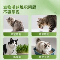 PAVISH帕维诗宠物猫草片化毛球片猫咪专用排毛冻干去毛球片化毛膏