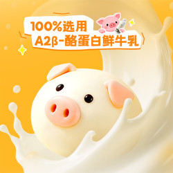 思念 猪猪包 臻品奶黄 300g