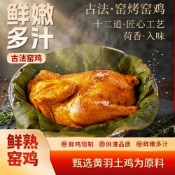 温氏 荷香古法窑鸡半只480g*1袋
