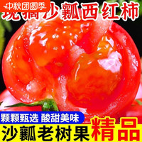 其它 四川攀枝花农家沙瓤西红柿5斤