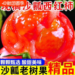 其它 四川攀枝花农家沙瓤西红柿5斤