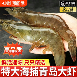 虾有虾途 当季新捕青岛大虾3斤