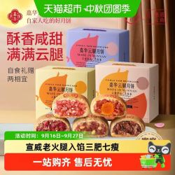 嘉华食品 嘉华云南 特产传统云腿月饼中秋送礼盒 800g*1盒 10枚装