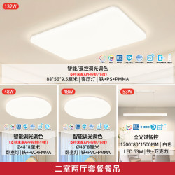 雷士 全光谱智能吸顶灯 IP40防蚊虫01-两室两厅带餐厅【包安装】